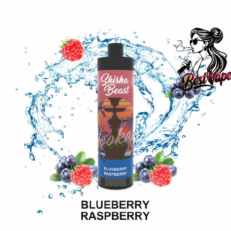 R&M ShiSha Beast 20000 Puffs Disposable Vape In UAE