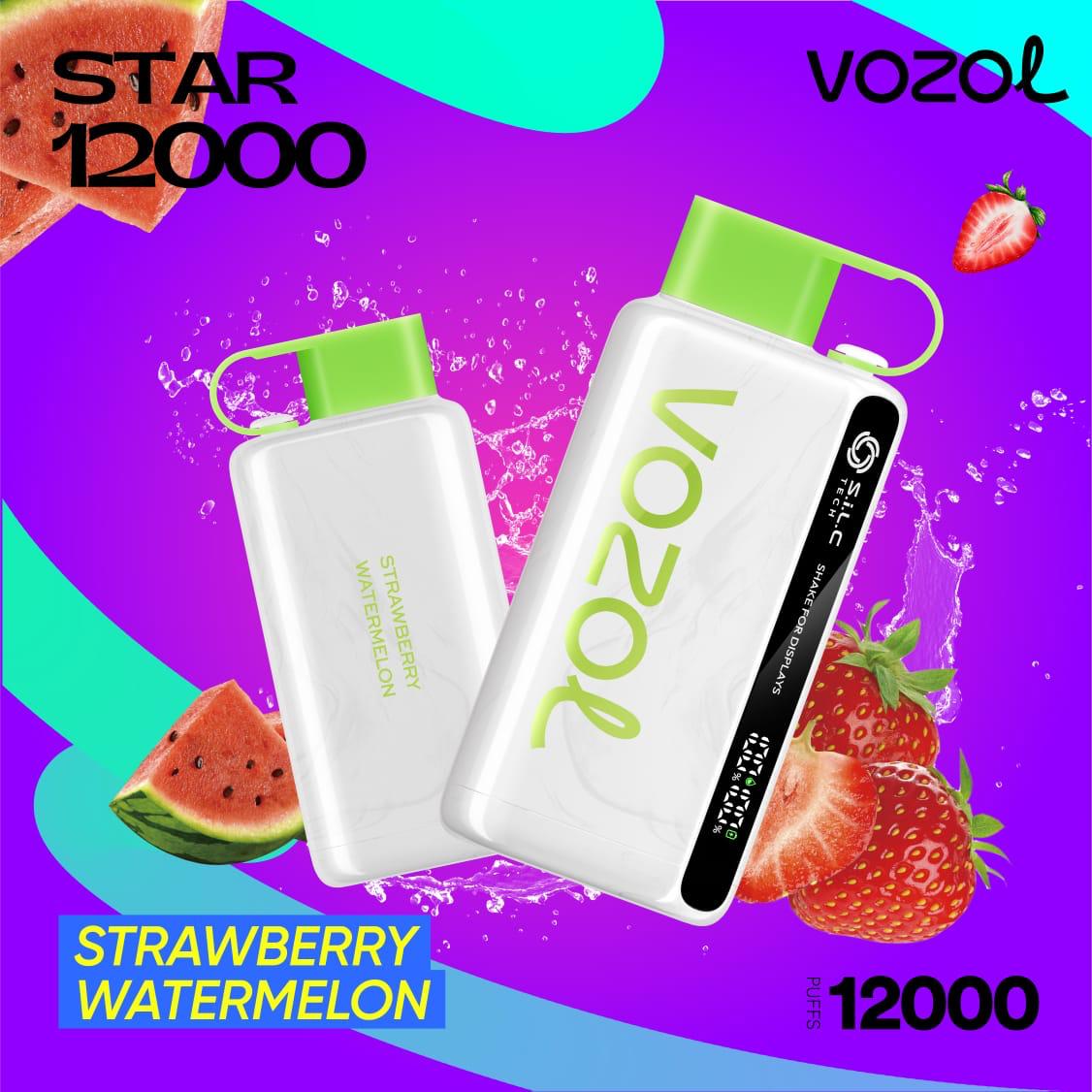 Vozol Star 12000 Puffs Disposable Vape