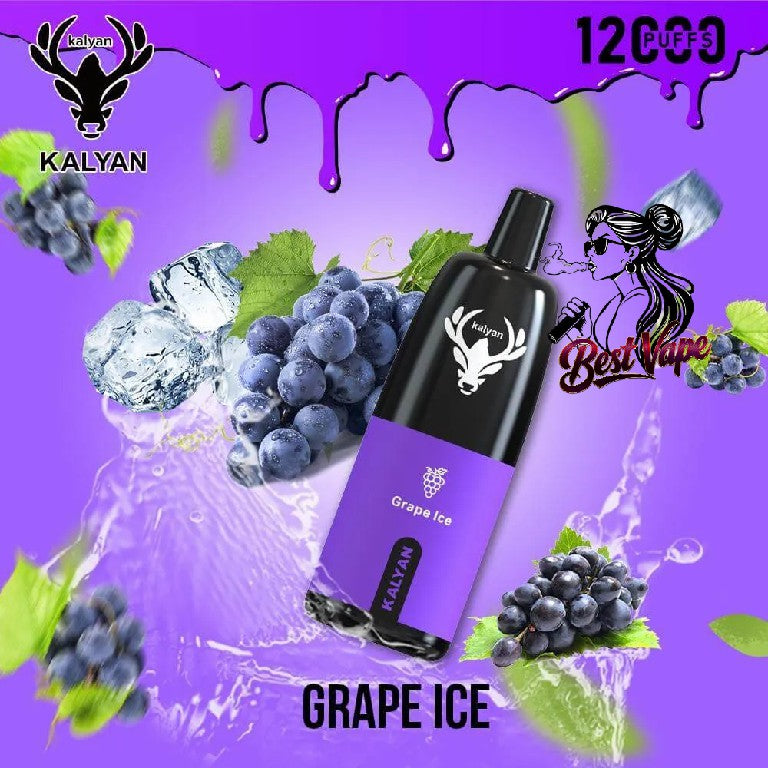 KALYAN Pro 12000 Puffs Disposable Vape