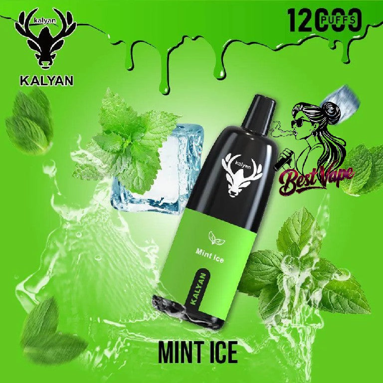 KALYAN Pro 12000 Puffs Disposable Vape