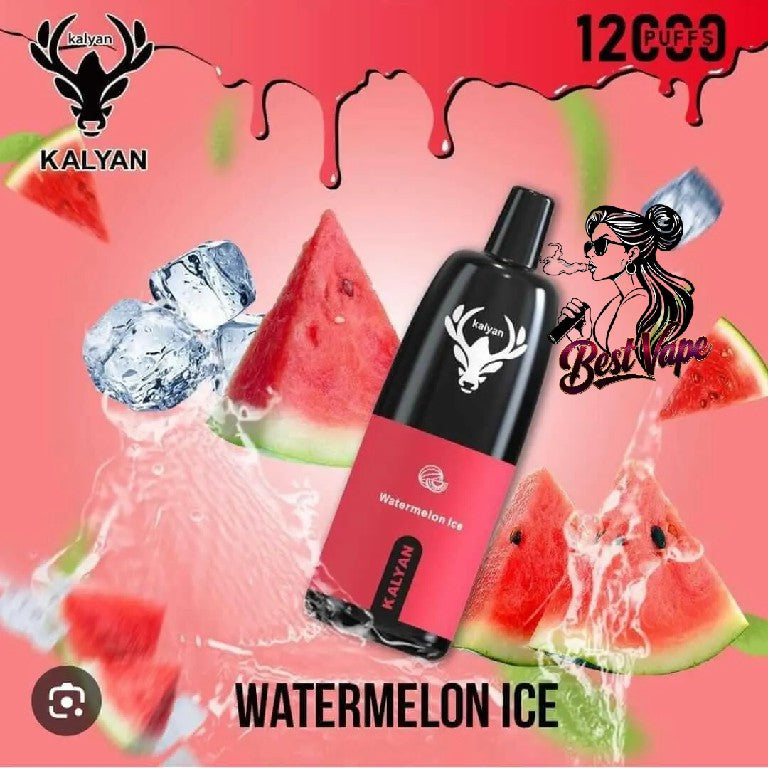 KALYAN Pro 12000 Puffs Disposable Vape