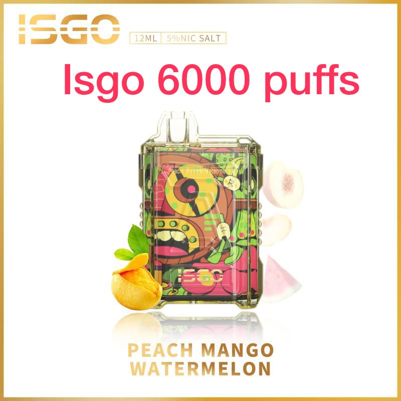 ISGO 6000 Puffs Disposable Vape in UAE