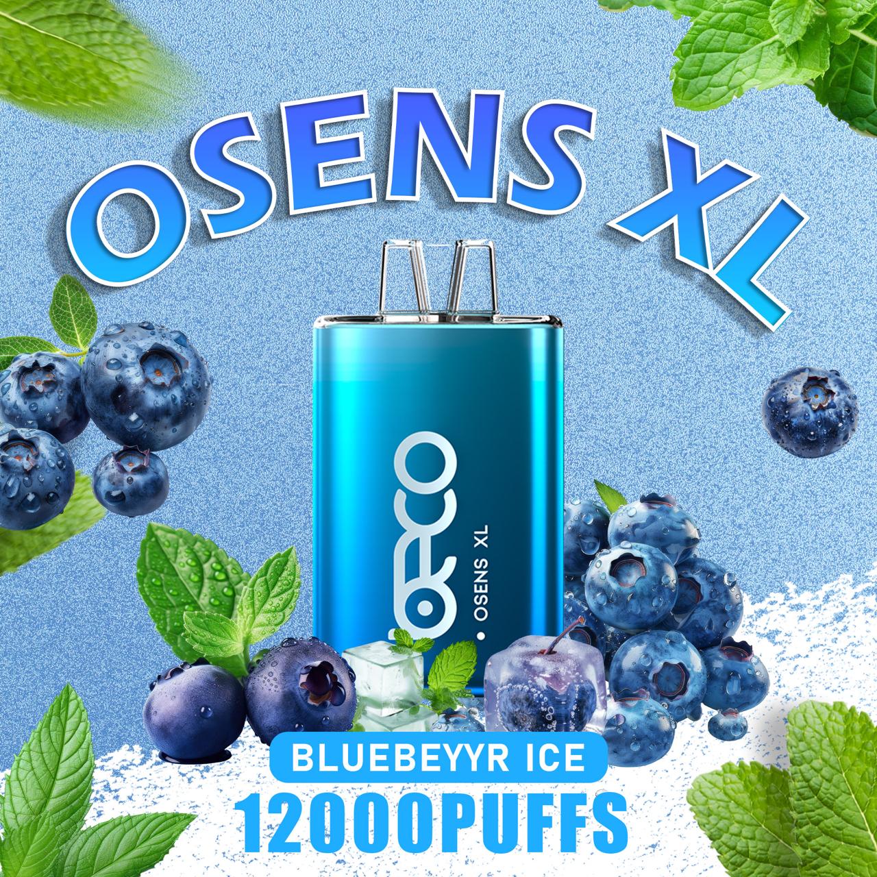 Beco Osens XL 12000 Puffs Disposable Vape in UAE