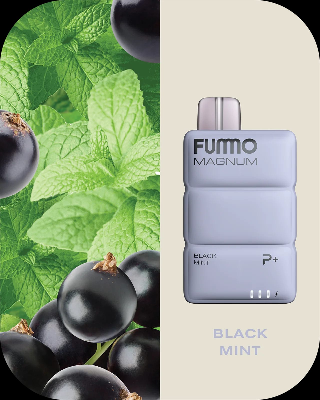 FUMMO Magnum 8000 Puffs Disposable Vape In UAE