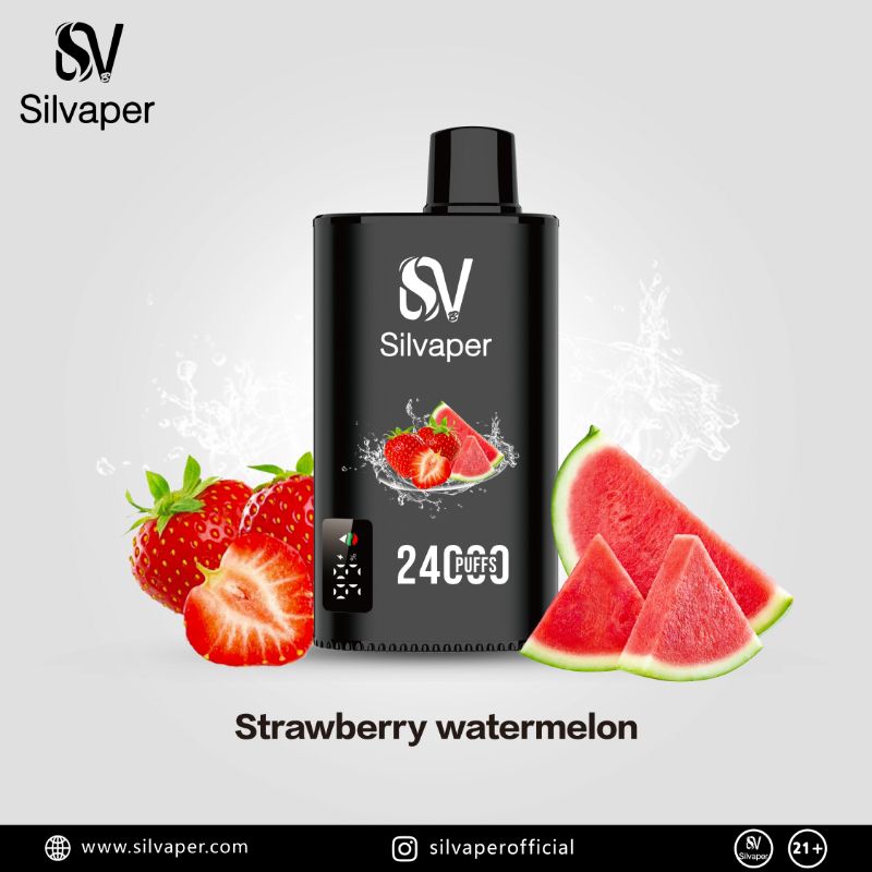 Silvaper 24000 Puffs Disposable Vape In UAE