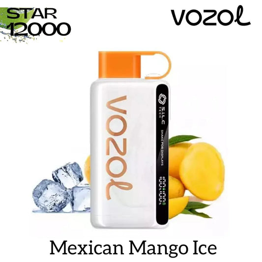 Vozol Star 12000 Puffs Disposable Vape